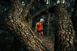 BIB: 
                            <button type="button" onclick="openModal(25389792)" class="btn btn-primary btn-sm float-right btn-popup" data-toggle="modal" data-target=".modal-high-quality">
                        <i class="fas fa-shopping-cart"></i> Add to Cart
                    </button>
                                            <button type="button" onclick="isThisMe(25389792, true)" class="btn btn-success btn-sm float-right btn-popup btn-isme hidden" data-toggle="tooltip" data-placement="bottom" title="นี่คือรูปของคุณใช่ไหม คลิกที่นี่เพื่อเอาเข้าอัลบั้ม">
                        <i class="fas fa-plus"></i> Add to album
                    </button>
                    <button type="button" onclick="isThisMe(25389792, false)" class="btn btn-warning btn-sm float-right btn-popup btn-isnotme hidden">
                        <i class="fas fa-ban"></i> Remove from album
                    </button>